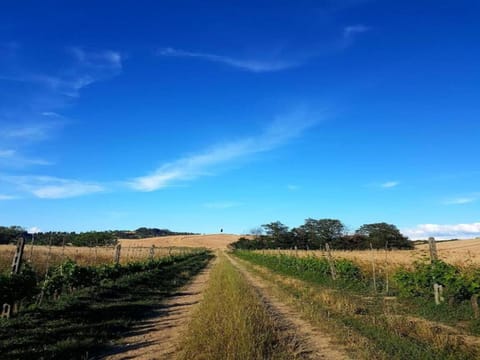 Surroundings [summer] (1-5 km)
