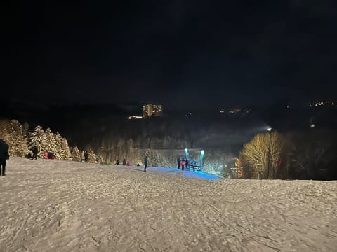 Snow and ski sports