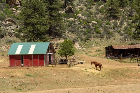 Where the animals live!