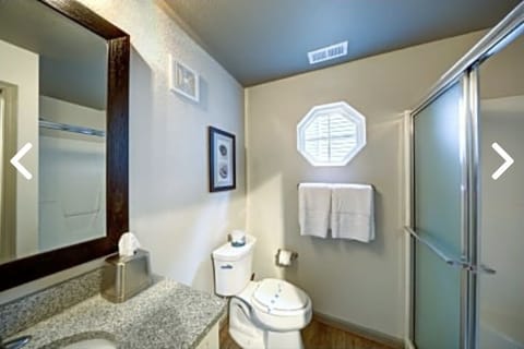 Combined shower/tub, hair dryer, towels, toilet paper