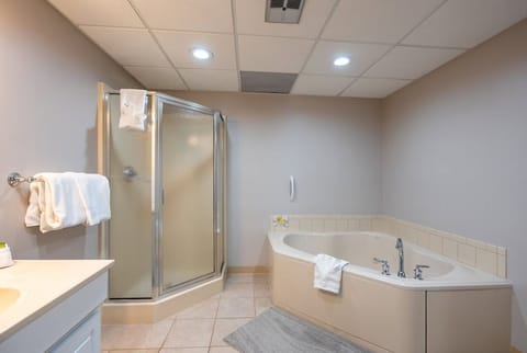 Combined shower/tub, jetted tub, hair dryer, towels