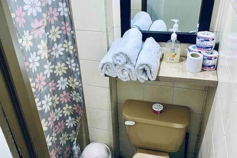 Towels, soap, shampoo, toilet paper