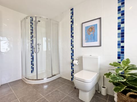 Combined shower/tub, hair dryer, towels