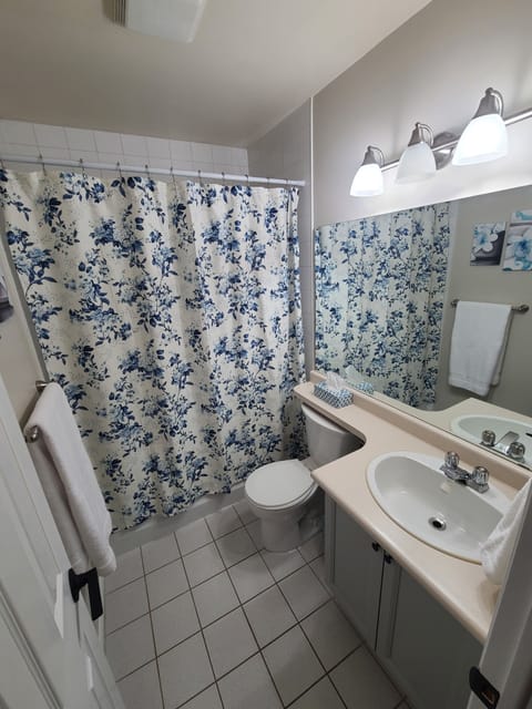 Combined shower/tub, towels, toilet paper