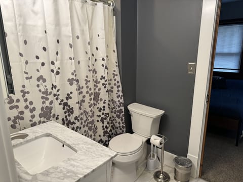 Combined shower/tub, hair dryer, towels, toilet paper