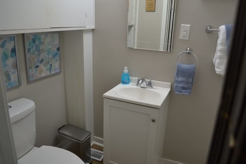 Combined shower/tub, hair dryer, towels, soap