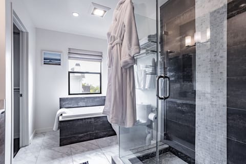 Combined shower/tub, jetted tub, hair dryer, towels