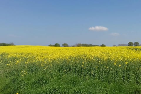 Surroundings [summer] (1-5 km)