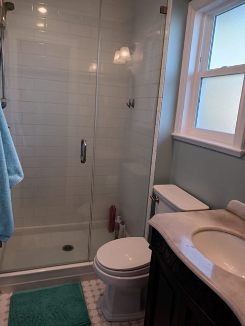 Shower, jetted tub, hair dryer, towels