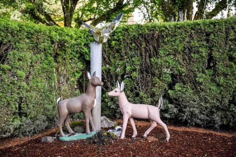 Hillsboro is very close to a lot of natural areas. Spend a day hiking and watching wildlife at some nearby parks.