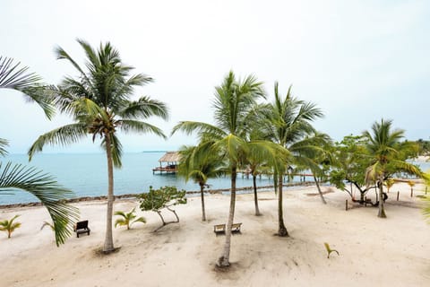 On the beach, sun loungers, beach towels