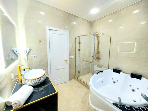Combined shower/tub, hair dryer, bidet, soap