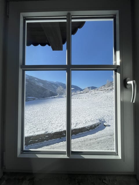 View from the dining room