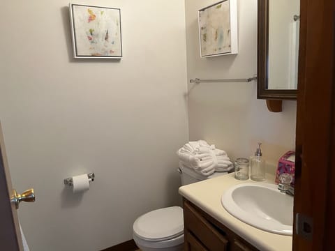 Combined shower/tub, towels, soap, toilet paper