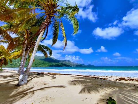 Sun loungers, beach towels