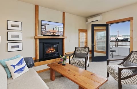 TV, fireplace, books