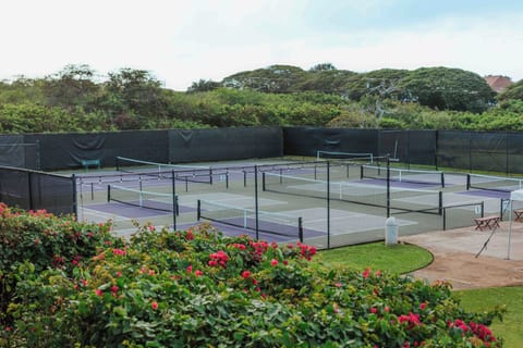 Sport court