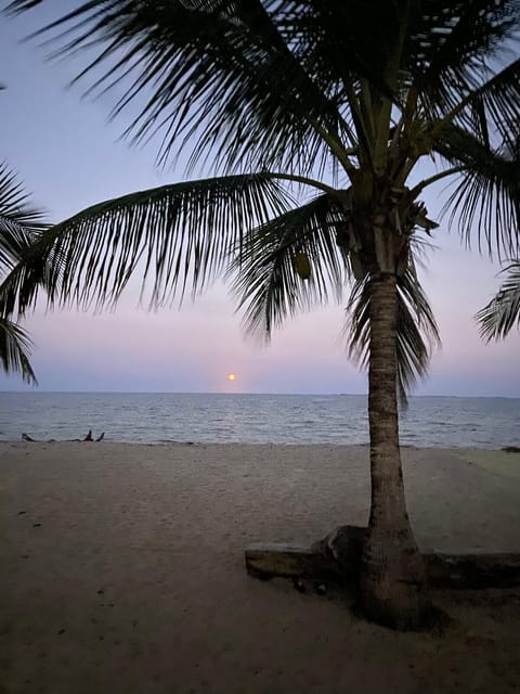 On the beach, sun loungers, beach towels