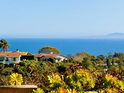 Beach/ocean view