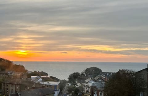 Beach/ocean view