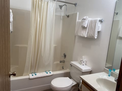 Combined shower/tub, hair dryer, towels