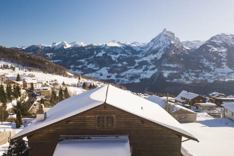 View of the mountains and Lake Walensee