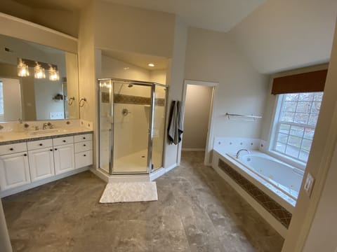 Combined shower/tub, jetted tub, hair dryer, towels