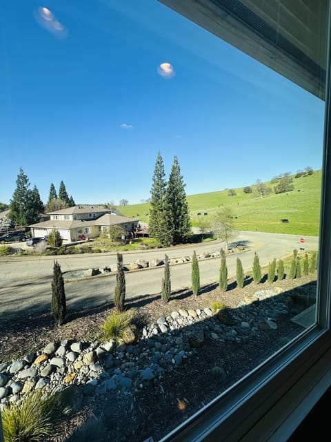 View from kitchen sink