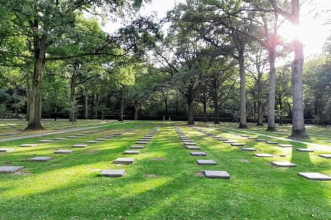 Region [summer] (>5 km)