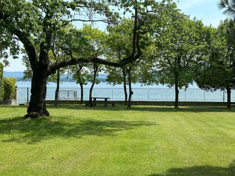 View of the garden to the lake