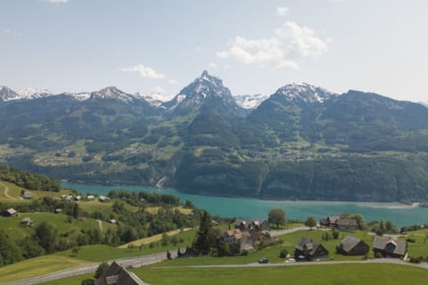 View on Mürtschenstock mountain and Lake Walensee