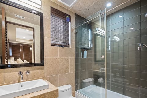 Combined shower/tub, hair dryer, towels, soap