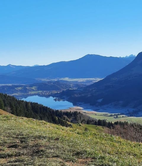 Region [summer] (&gt;5 km)