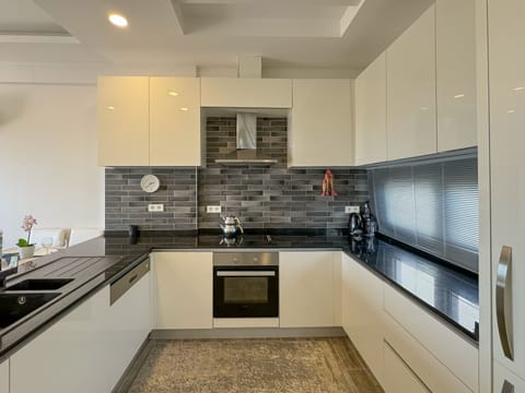 penthouse-d7 kitchen3