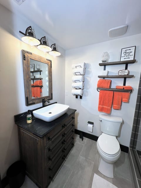 Combined shower/tub, jetted tub, hair dryer, towels