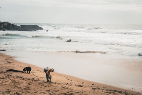 On the beach