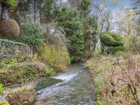 Surrounding area | Capp Mill, Painswick, near Stroud