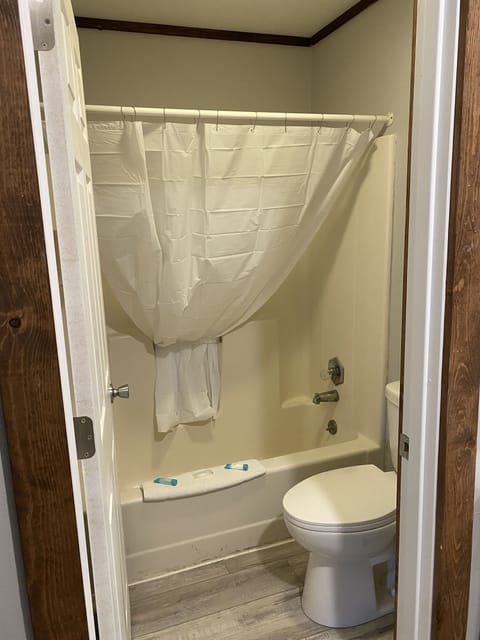Combined shower/tub, hair dryer, towels