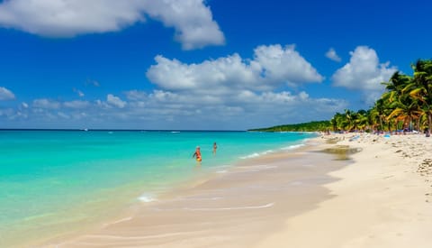 Sun loungers, beach towels