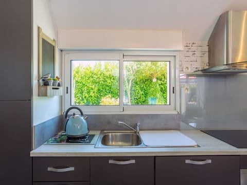 Kitchen Sink, Sink, Tap, Cabinetry, Countertop, Property, Window, White, Plumbing Fixture, Plant