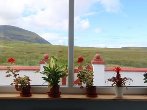 Flower, Cloud, Sky, Plant, Flowerpot, Window, Houseplant, Interior Design, Wood, Landscape