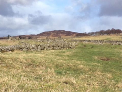 Cloud, Sky, Mountain, Natural Landscape, Plant, Tree, Landscape, Grassland, Grass, Meadow