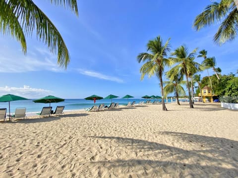 On the beach, sun loungers, beach towels