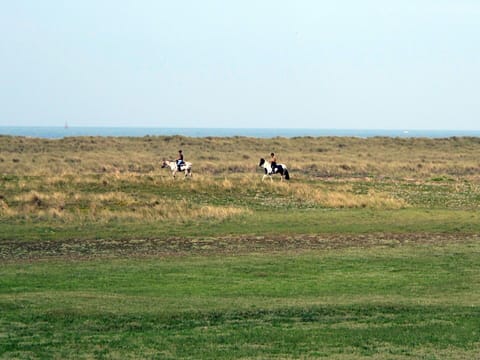 Sky, Natural Landscape, Plant, Grass, Grassland, Landscape, Meadow, Horizon, Prairie
