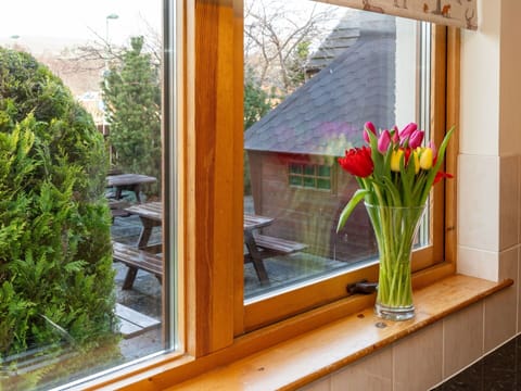 Flower, Plant, Window, Building, Botany, Wood, Interior Design, Vase, Flowerpot