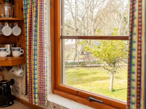 Property, Window, Plant, Wood, Building, Interior Design, Shade, Tree, Wall, Twig