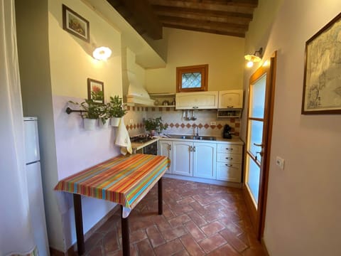 Furniture, Picture Frame, Cabinetry, Property, Countertop, Wood, Houseplant, Interior Design, Floor, Flooring