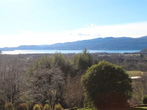 Sky, Plant, Building, Tree, Shade, Real Estate, Landscape, Facade, Cloud, Apartment