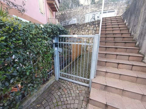 Building, Plant, Window, Road Surface, Stairs, Brickwork, Real Estate, Composite Material, Brick, Wood