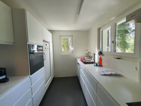 Property, Cabinetry, Kitchen Sink, Window, Sink, Building, Interior Design, Wood, Tap, Countertop